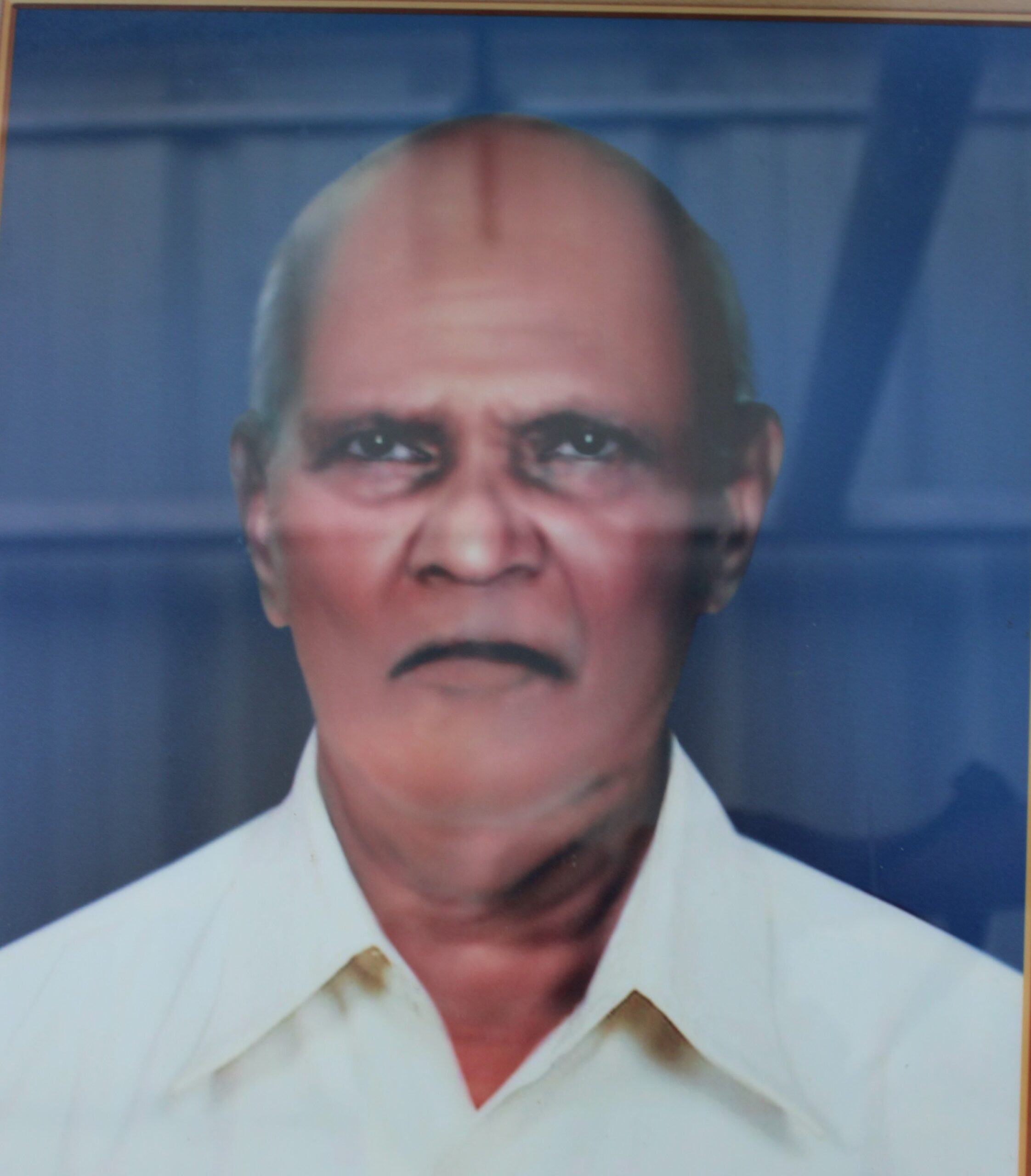 narayan paraveli